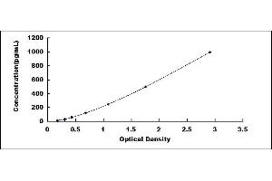 Tissue factor ELISA Kit