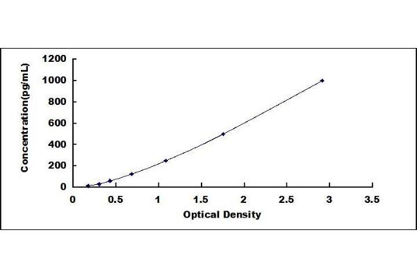 Tissue factor ELISA Kit