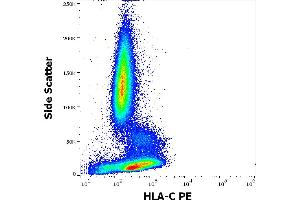 Flow cytometry surface staining pattern of human peripheral whole blood stained using anti-human HLA-C (DT-9) PE antibody (10 μL reagent / 100 μL of peripheral whole blood). (HLA-C Antikörper  (PE))