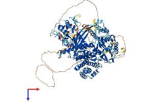 TERT Protein (AA 1-1132) (His tag)