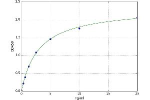 A typical standard curve (Tenascin N ELISA Kit)