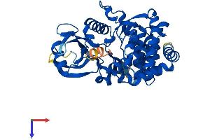 AGPHD1 Protein (AA 1-376) (His tag)