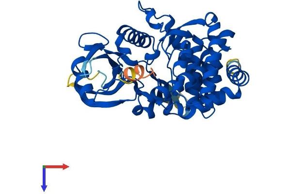 AGPHD1 Protein (AA 1-376) (His tag)