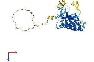 TPRG1L Protein (AA 1-272) (His tag)