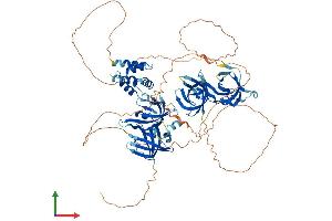 Protein Structure (PS) image for Interferon, gamma-Inducible Protein 16 (IFI16) (AA 1-785) protein (His tag) (ABIN7554147)