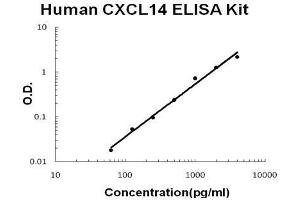 Human CXCL14 PicoKine ELISA Kit standard curve (CXCL14 ELISA Kit)