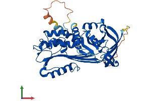 Protein Structure (PS) image for serpin Peptidase Inhibitor, Clade B (Ovalbumin), Member 10 (SERPINB10) (AA 1-397) protein (His tag) (ABIN7559475)
