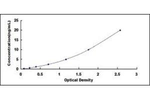 Typical standard curve (WISP2 ELISA Kit)