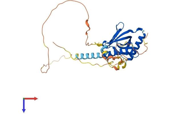 LDLRAP1 Protein (AA 1-308) (His tag)