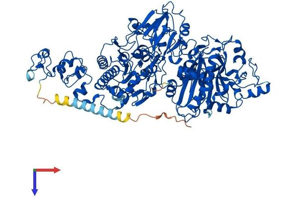 ENPP3 Protein (AA 1-875) (His tag)