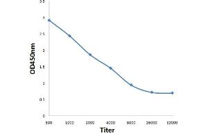 ELISA image for anti-Microtubule-Associated Protein, RP/EB Family, Member 2 (MAPRE2) (AA 101-200) antibody (ABIN872736)