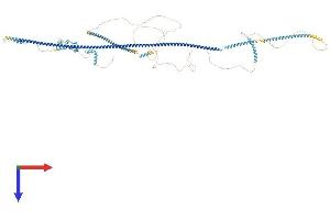 OFD1 Protein (AA 1-1012) (His tag)