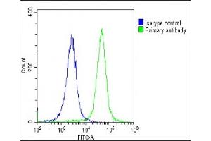 Flow Cytometry (FACS) image for anti-Potassium Voltage-Gated Channel, Subfamily H (Eag-Related), Member 1 (KCNH1) (AA 787-820) antibody (ABIN6243783)