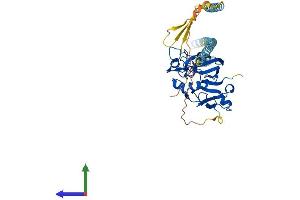 Protein Structure (PS) image for Fibrinogen C Domain Containing 1 (FIBCD1) (AA 1-461) protein (His tag) (ABIN7547693)