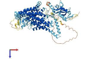 CLCN3 Protein (AA 1-818) (His tag)
