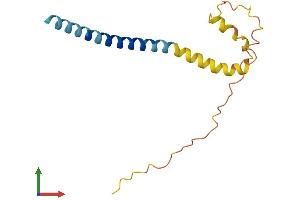 Protein Structure (PS) image for Synuclein, beta (SNCB) (AA 1-133) protein (His tag) (ABIN7560167)