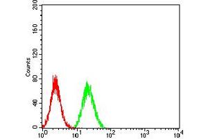 Flow cytometric analysis of Hela cells using IghA1 mouse mAb (green) and negative control (red). (IGHA1 Antikörper  (AA 207-353))
