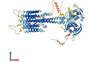 Protein Structure (PS) image for Adenylate Cyclase 1 (Brain) (ADCY1) (AA 1-1119) protein (His tag) (ABIN7551951)