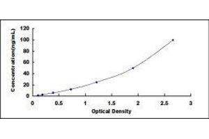 ELISA image for Hydroxysteroid (17-Beta) Dehydrogenase 1 (HSD17B1) ELISA Kit (ABIN420786)