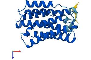 KDELR1 Protein (AA 1-212) (His tag)