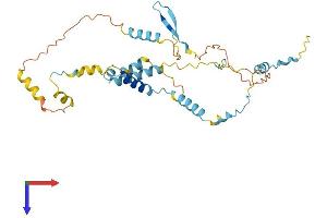 HYLS1 Protein (AA 1-307) (His tag)