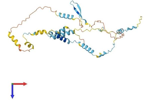 HYLS1 Protein (AA 1-307) (His tag)
