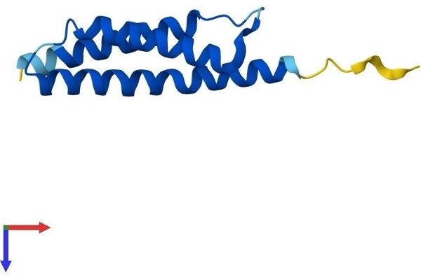 aHSP Protein (AA 1-102) (His tag)
