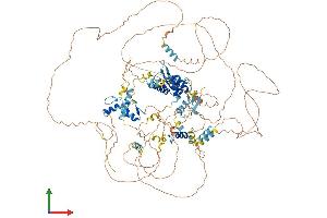 Protein Structure (PS) image for Teashirt Zinc Finger Homeobox 1 (TSHZ1) (AA 1-1084) protein (His tag) (ABIN7563800)