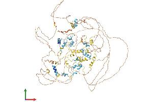Protein Structure (PS) image for Eukaryotic Translation Initiation Factor 4E Nuclear Import Factor 1 (EIF4ENIF1) (AA 1-985) protein (His tag) (ABIN7551776)