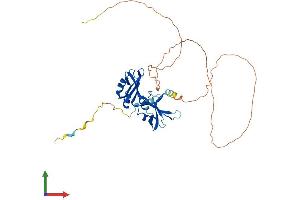 Protein Structure (PS) image for Heterogeneous Nuclear Ribonucleoprotein A3 (HNRNPA3) (AA 1-378) protein (His tag) (ABIN7551512)