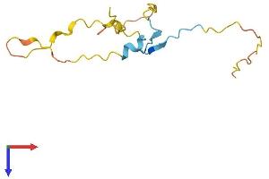 Proline Rich 15 Protein (PRR15) (AA 1-129) (His tag)