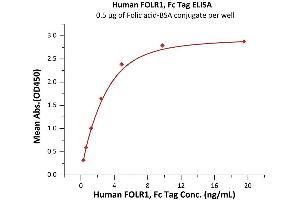 Immobilized Folic acid-BSA conjugate at 5 μg/mL (100 μL/well) can bind Human FOLR1, Fc Tag (Cat.