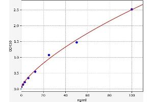 Typical standard curve (Bcl-2 ELISA Kit)