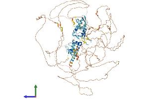 Protein Structure (PS) image for RNA Binding Motif Protein 6 (RBM6) (AA 1-1123) protein (His tag) (ABIN7555125)