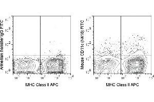 C57Bl/6 splenocytes were stained with APC Anti-Mouse MHC Class II (ABIN6961377) and 0. (CD11c Antikörper  (FITC))