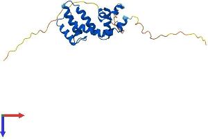 RGS4 Protein (AA 1-205) (His tag)