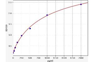 SCD ELISA Kit