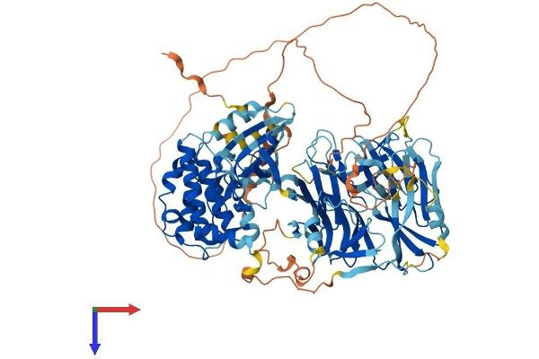MAP4K5 Protein (AA 1-847) (His tag)