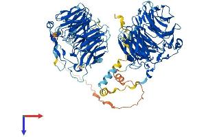 Coronin 7 Protein (CORO7) (AA 1-925) (His tag)