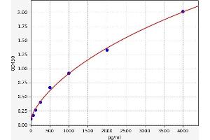 IMPA2 ELISA Kit