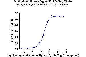 Immobilized Anti-Siglec-10 Antibody, hFc Tag at 1 μg/mL (100 μL/well) on the plate. (SIGLEC10 Protein (Fc-Avi Tag,Biotin))
