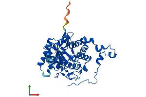 Protein Structure (PS) image for Betaine--Homocysteine S-Methyltransferase 2 (BHMT2) (AA 1-363) protein (His tag) (ABIN7552736)