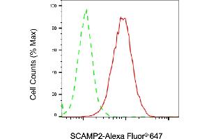 Flow cytometric analysis of SCAMP2 expression in HAP-1 cells using SCAMP2 antibody (ABIN7800289), 1:2,000). (SCAMP2 Antikörper)