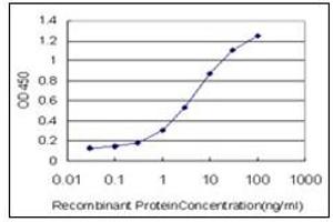 ELISA image for anti-SMAD, Mothers Against DPP Homolog 3 (SMAD3) antibody (ABIN781908)