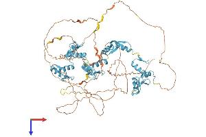 CTCF Protein (AA 1-727) (His tag)