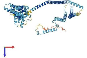 IQCB1 Protein (AA 1-598) (His tag)