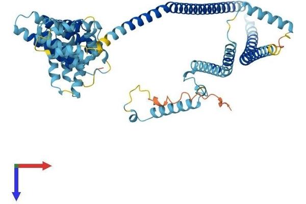IQCB1 Protein (AA 1-598) (His tag)