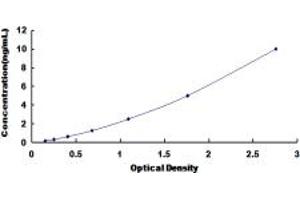 Typical standard curve (DAPK3 ELISA Kit)