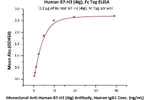 B7-H3 (4Ig) (AA 27-461) (Active) protein (Fc Tag)