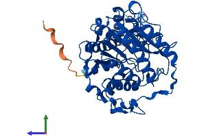 AlphaFold protein structure predicition of Human Recombinant HDAC8 Protein, UniprotID Q9BY41 (HDAC8 Protein (AA 1-377) (His tag))